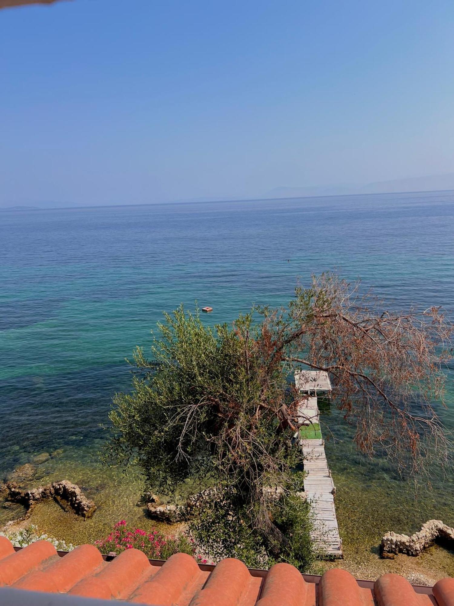 Kohyli Beachfront House Agia Pelagia Chlomou Екстер'єр фото